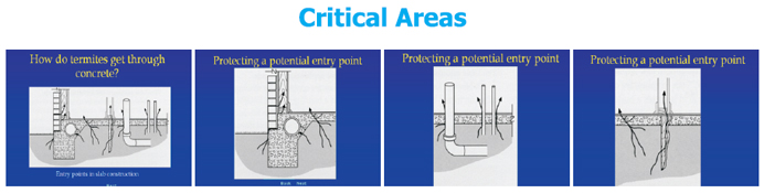 critical-area