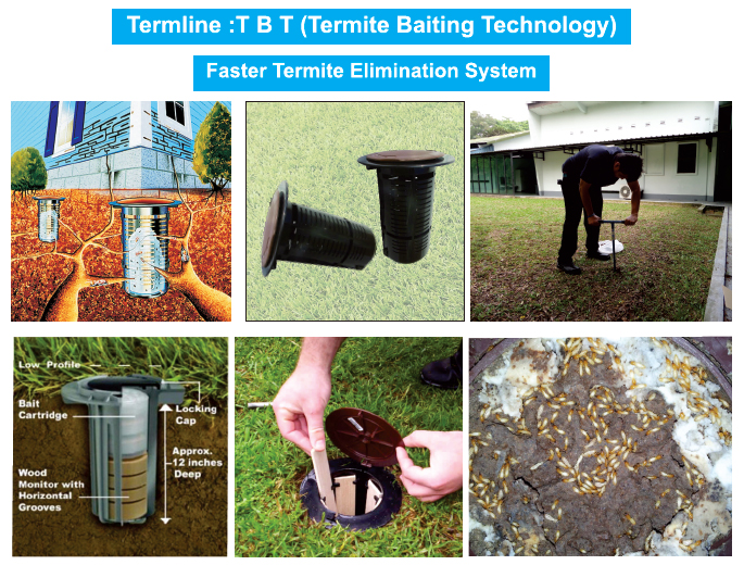 termite-baiting-technology